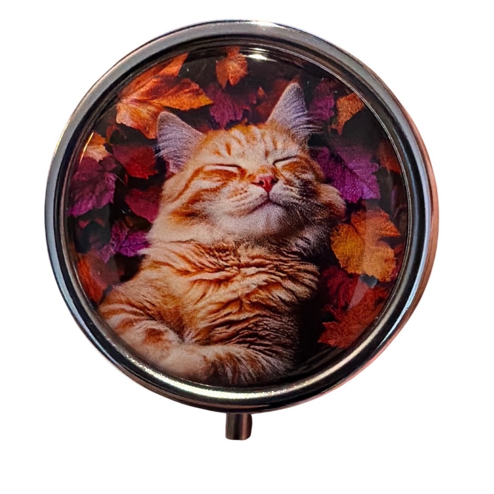 Orange Cat Sleeping‎ Tabby Pill box Jewelry case New